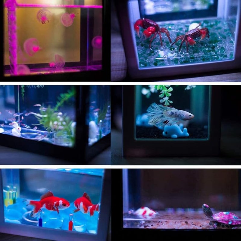 خزان أسماك أكريليك أسود صغير قابل للتكديس لتزيين مكتب المكتب وطاولة الشاي - Image 4